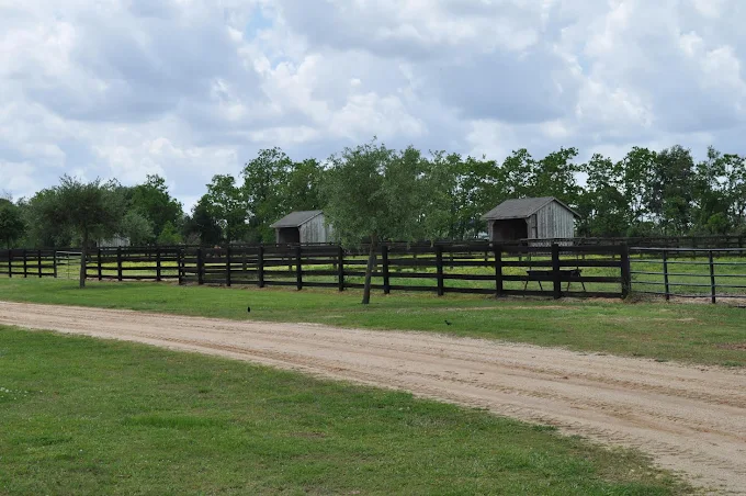 Paddock shelters and cross-fenced pasture